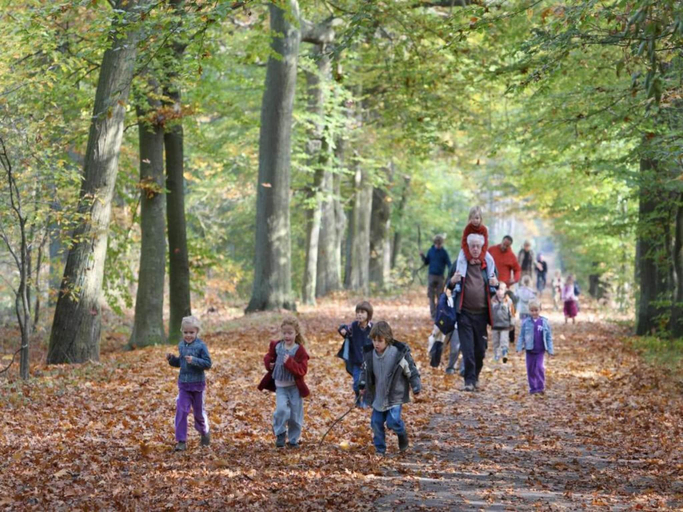 Others 5, Forest Stay with Shared Pool, Borger-Odoorn