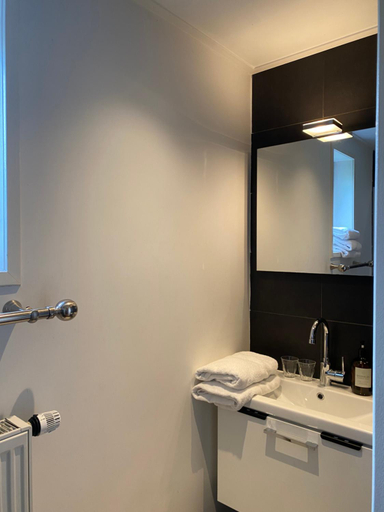 Bathroom 2, B&B de Tol, Hulst