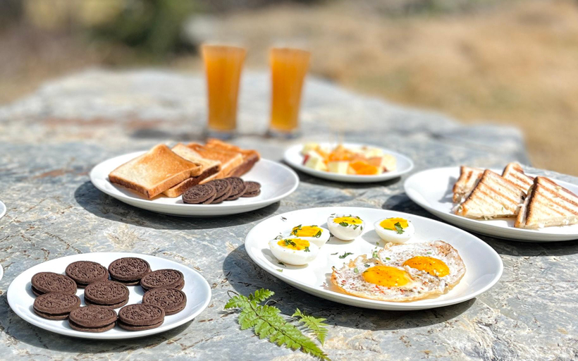 Food & Drinks 4, Timber tales jibhi, Kullu