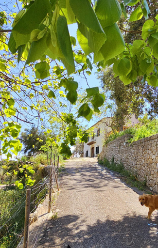 Others 5, Agroturismo Finca Can Sec, Baleares