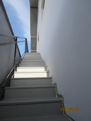 Others 5, Da-i pace mai, Corbu