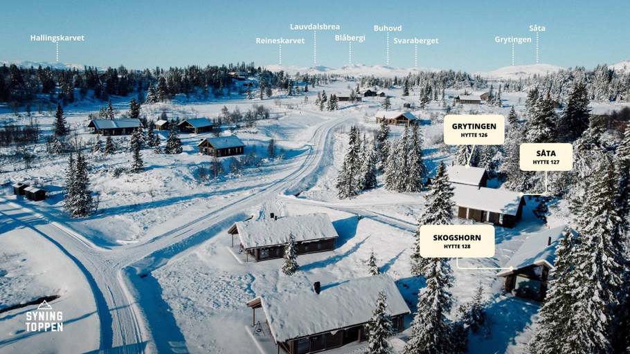 Others 5, Modern Mountain Cabin - Outdoor Hot Tub - 8 Beds, Ål