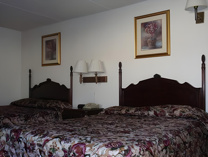 Bedroom 3, Red Carpet Inn Rochester, Olmsted