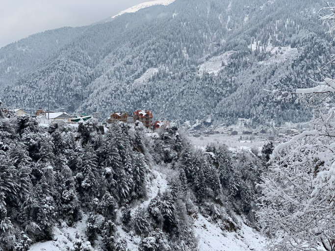 Others 3, Abode Home Cool & Homely Place, Kullu