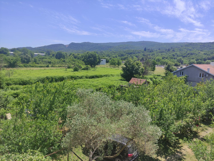 Others 4, Green Valley GV