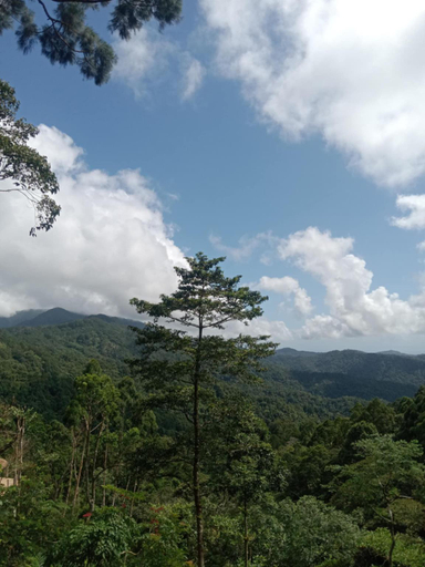 Exterior view 4, Forest 101, Real