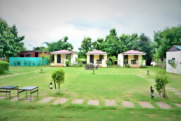 Others 4, Ranthambore Jungle Home, Sawai Madhopur