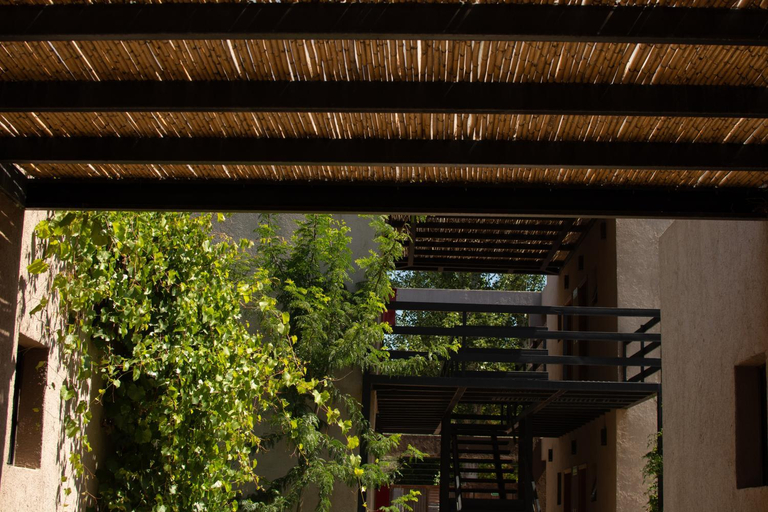 Others 5, The owl lodge, Luján de Cuyo