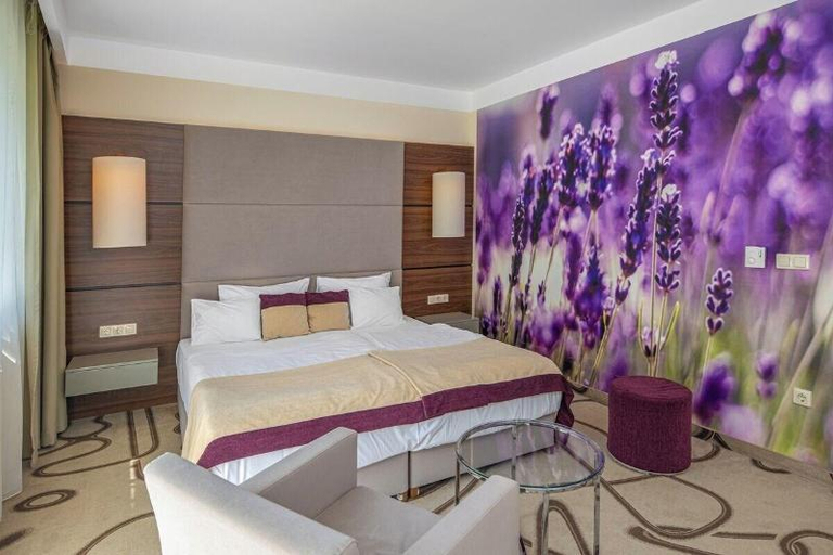 Bedroom 3, Ambient Hotel & Aromaspa Sikonda, Komlói
