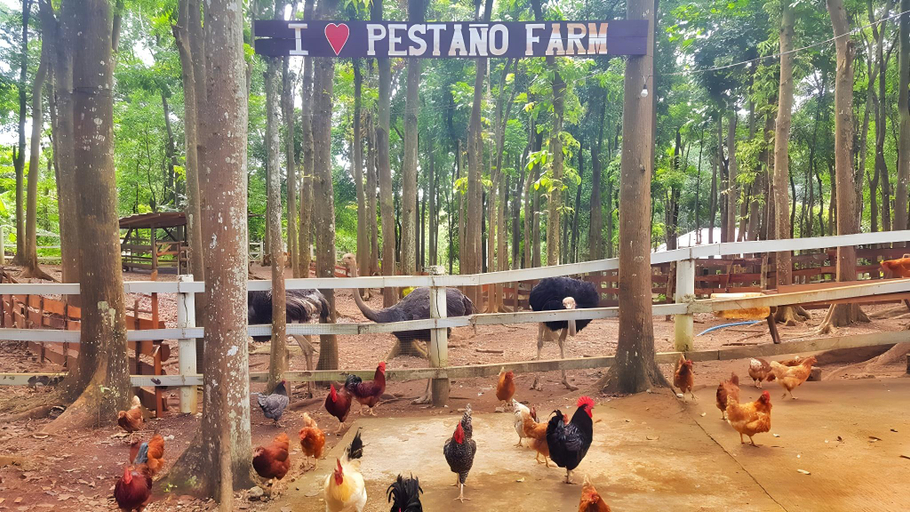 Others 4, Phillip's Sanctuary, Antipolo City