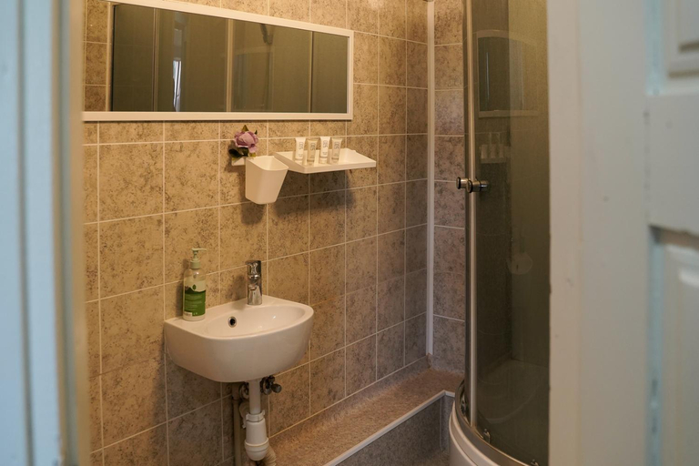 Bathroom 2, Apartamentai Birstono centre su zidiniu, Birštono