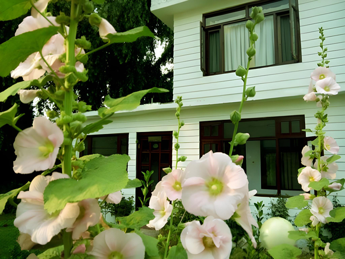 Exterior & Views 1, Hotel Manali Castle, Kullu