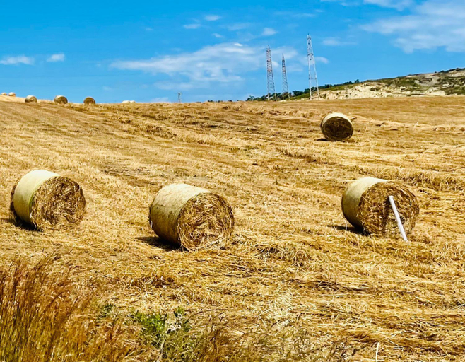 Surrounding environment, La Pizzuta del Principe, Crotone