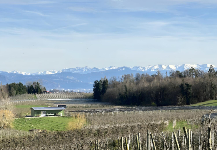 Others 3, Landhaus Schnell, Lindau (Bodensee)