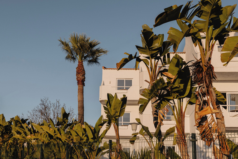 Exterior & Views 2, Outsite Vilamoura - Work, Connect, Explore, Loulé