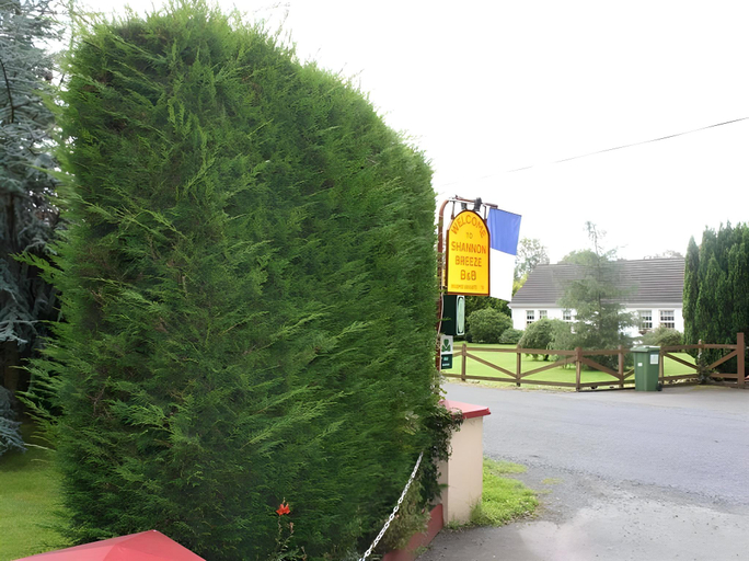Others 3, Shannon Breeze B&B
