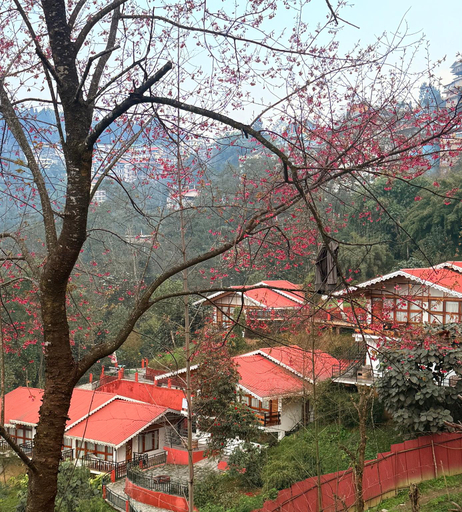 Others 5, Kaya Gantavya Resort and Spa, West Sikkim