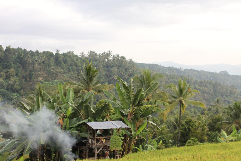 Others 4, Yoga Homestay, Buleleng