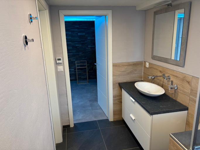 Bathroom 3, Spring Inn Apartments, Oberhasli