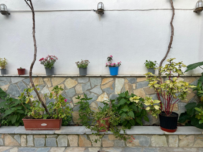 Others 3, Luigi Guest House, Gjirokastrës