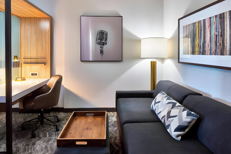Others, SpringHill Suites Nashville Downtown/Convention Center, Davidson