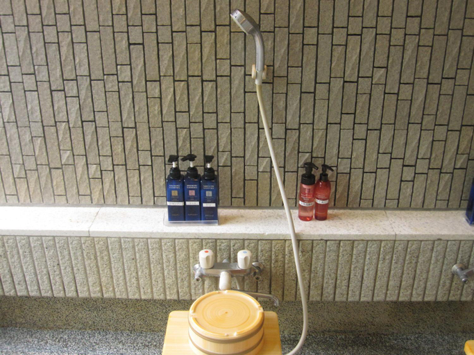 Bathroom 3, SekiOnsenーHatsune, Myōkō