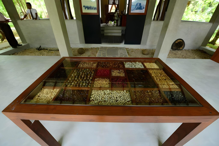 Bedroom 3, Nil Diya Mankada Safari Lodge, Embilipitiya