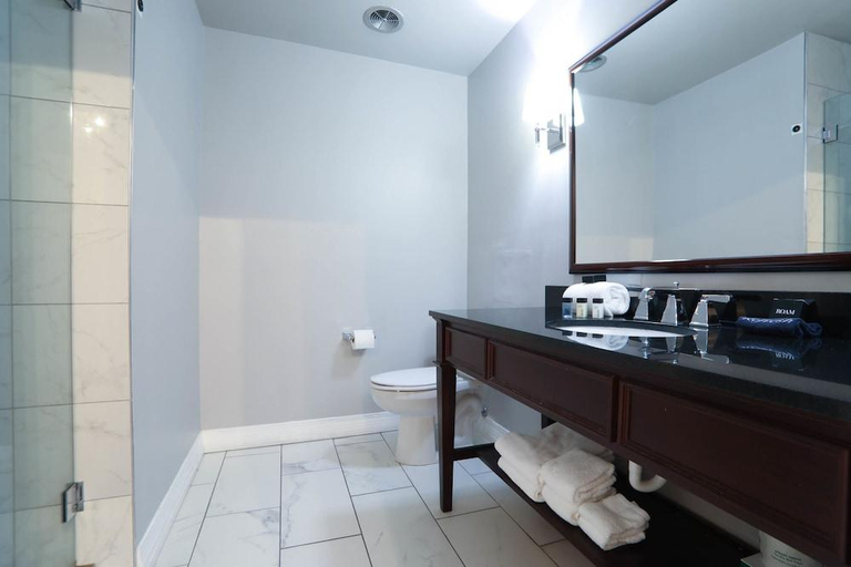 Bathroom 4, Malaga Inn, Mobile