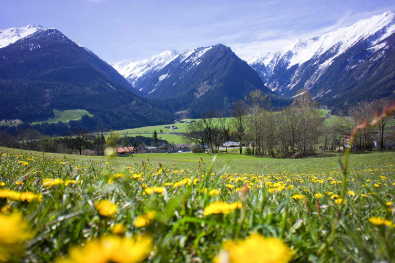 Others 5, Apartment in Hohe Tauern with Mountain Views, Zell am See