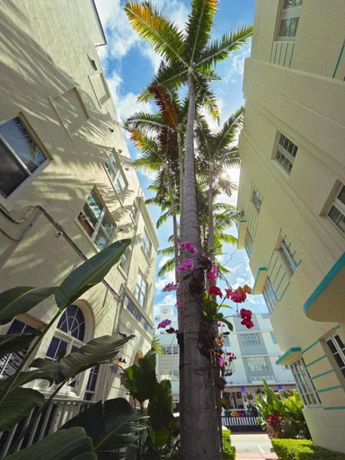 Others 4, Luxuri Suites, Miami-Dade