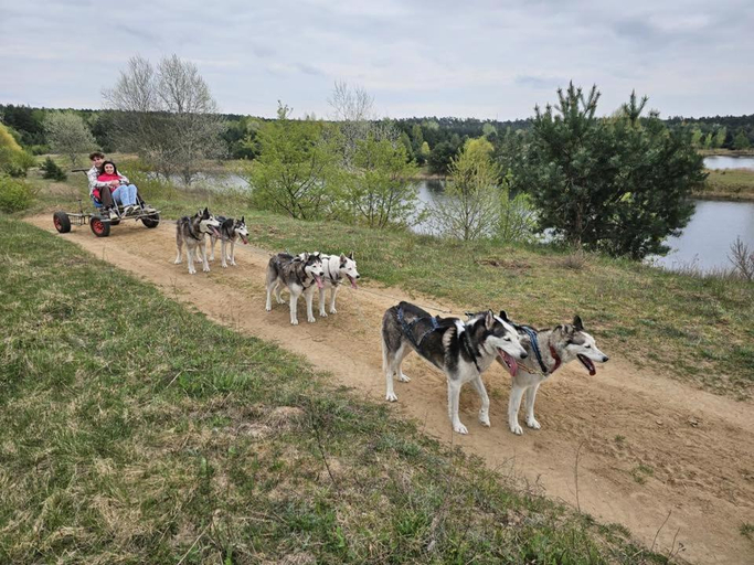 Others 5, Agroturystyka Traperska Osada, Poznań