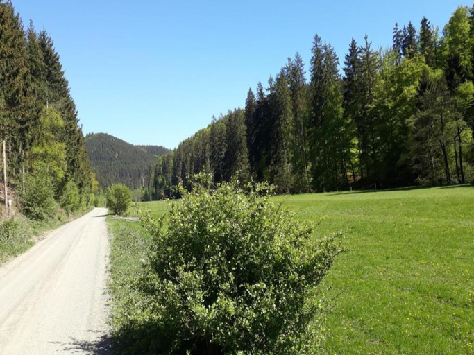 Others 5, Ferienwohnung Oberschledorner Wald, Hochsauerlandkreis