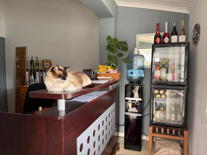 Public Area 2, Middelplaas Paarl Guesthouse , Cape Winelands