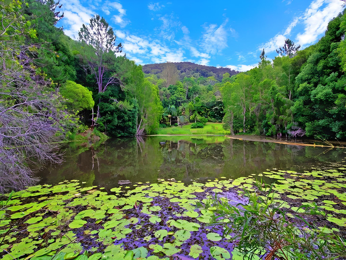 Others 5, Mt Warning Rainforest Retreat, Tweed - Pt B