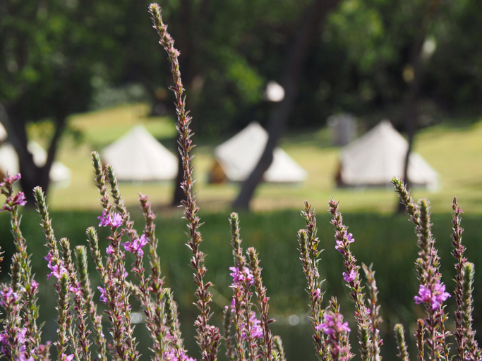 Others 5, Iluka Retreat Glamping Village, Melbourne