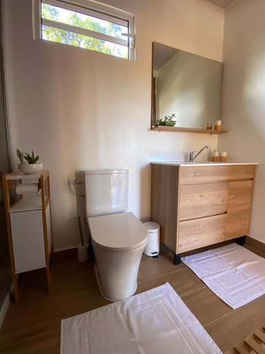 Bathroom 4, Fare Maraea