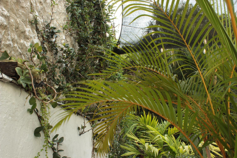 Others 3, Timeless Oasis Hostel, Santiago de Cali