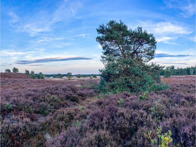 Others 2, Holiday Home in Putten near Veluwe Park, Putten