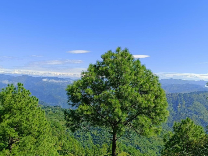 Others 4, Joshi Holiday Home Stay, Garhwal