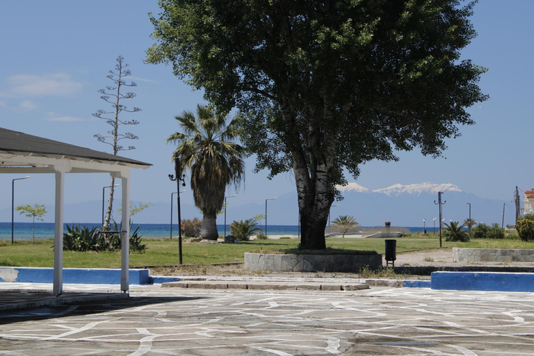 Sport & Beauty, StudioAretiCom Studio to rent in FRONT the lovely SEA fully equipped plagiastudioseu, Central Macedonia