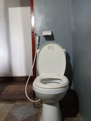 Bathroom 3, The Paulwood cabana home stay, Nuwara Eliya