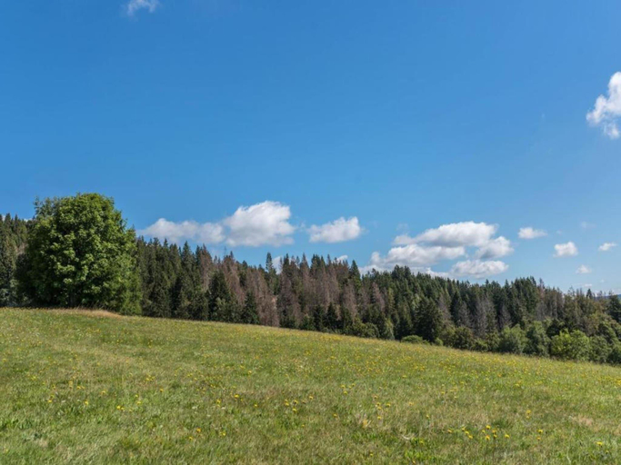 Others 5, Ferienwohnung im Schwarzwald mit Garten, Waldshut