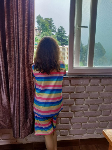 Others 5, The Dhaila's Nest Inn, Nainital