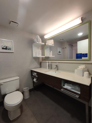 Bathroom 4, Hampton Inn by Hilton Egg Harbor Township Atlantic City, Atlantic