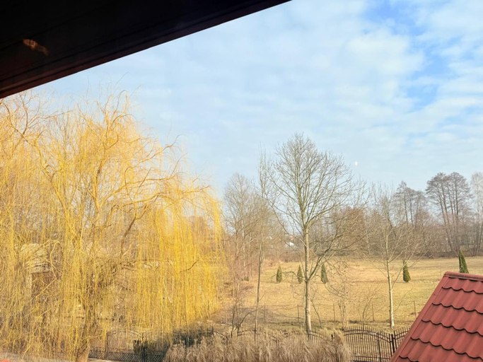 Others 4, Pokoje noclegowe KASZTEL - Lowisko, Rzeszów