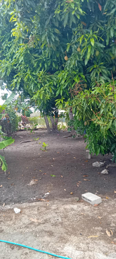 Others 2, Chandler Homestay