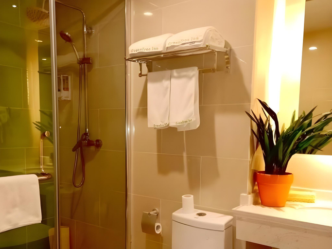 Bathroom 4, Greentree Inn Fuyang Technician College, Fuyang