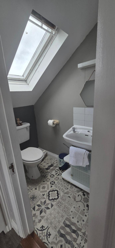 Bathroom 3, Salmon island view
