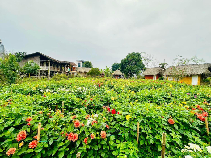 Others 4, Luong Son Homestay, Cao Bằng