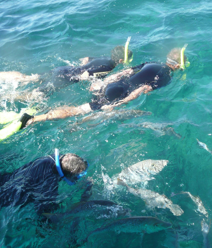 Others 5, Ningaloo Club Backpackers, Carnarvon